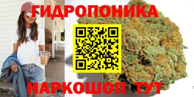 гашик Мариинск
