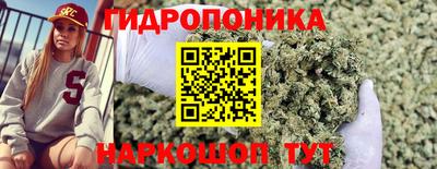 гашик Мариинск