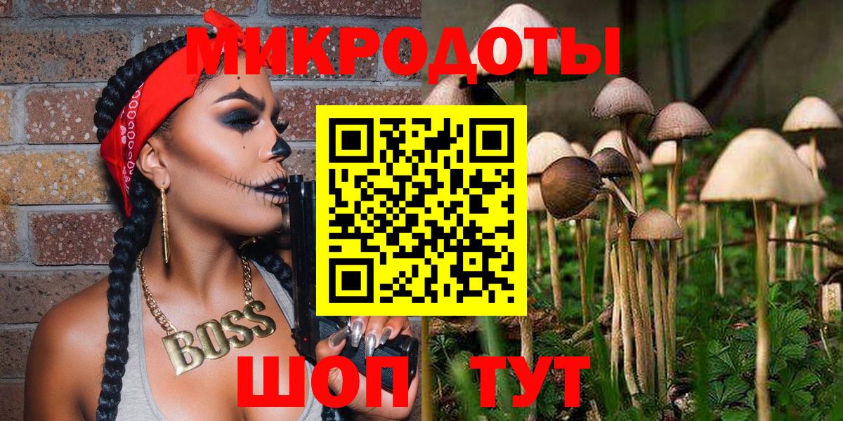 Дивногорск  Галлюциногенные грибы Psilocybine cubensis  Вход с VPN  Псилоцибиновые грибы прущие грибы 